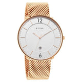 NU1849WM01 -  Titan Silver Dial Rose Gold watch