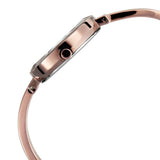 NU2575QM02 - Raga Titan  Brown Dial Watch
