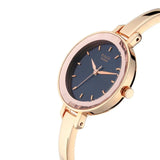 NR2575WM02 Titan Quartz Analog Blue Dial Metal Strap Watch for Women