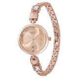 NR2606WM01 Titan Raga Viva Rose Gold Dial Analog Metal Strap watch for Women