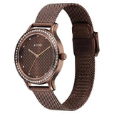 2634QM03 - Titan Purple Brown Stainless Steel Strap Watch
