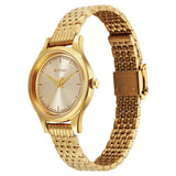 NT2679YM02 - Titan Karishma Golden Dial  Watch