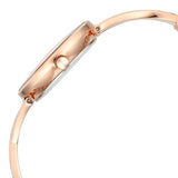 2698WM01 Titan Raga Chic Quartz Analog Rose Gold Dial Metal Strap Watch for Women