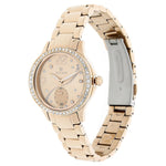 NR95024WM01 Titan Rose Gold Dial Stainless Steel Strap Watch for Women