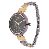 NR95121KM01 Titan Raga Stainless Steel Strap watch for Women