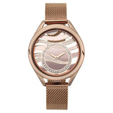 NT95130QM01 - Titan Animalia Brown Stainless Steel Watch