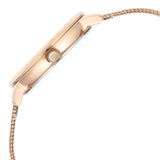 95238WM01 Titan Stainless Steel Strap Watch for Women