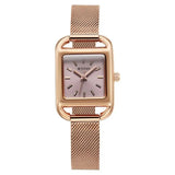 95298WM01 - Titan Horizon Pink Dial Watch