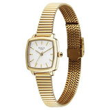 95355YM01 - Titan Raga Showstopper Champagne Dial Watch