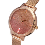 TW041HL21 Helix Analog Stainless Steel Watch Women