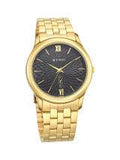 Titan Gents Karishma 1824YM01 Black Dial Analog watch for Men - Bharat Time Style