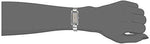 Titan Raga Analog Silver Dial Women's Watch NM9720SM01/NN9720SM01 - Bharat Time Style