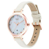 Raga Viva Analog Watch With Mother Of Pearl Dial & Brass Strap - 2666WL03 - Bharat Time Style