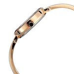 Titan Raga Viva Analog Silver Dial Women's Watch NM2575WM02/NN2575WM02 - Bharat Time Style