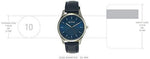 Titan Ladies Neo Economy Analog Blue Dial Women's Watch 2639SL02/NN2639SL02 - Bharat Time Style