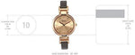 Titan Raga Viva Analog Rose Gold Dial Women's Watch NM2608WL01/NN2608WL01 - Bharat Time Style