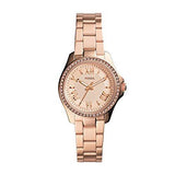 Fossil Cecile Analog Silver Dial Women's Watch - AM4578 - Bharat Time Style