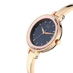 Titan Raga Viva Analog Silver Dial Women's Watch NM2575WM02/NN2575WM02 - Bharat Time Style