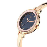 Titan Raga Viva Analog Silver Dial Women's Watch NM2575WM02/NN2575WM02 - Bharat Time Style