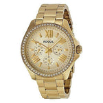 Fossil Dial Analogue Watch for Women (AM4482) - Bharat Time Style