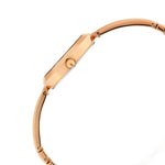 Titan Raga Viva Analog Rose Gold Dial Women's Watch - 2606WM07