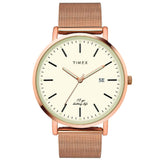Timex Long Last-Ten Year Battery Life Analog Beige Dial Men's Watch-TWEG17708