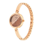 Titan Raga Viva Analog Rose Gold Dial Women's Watch - 2606WM07