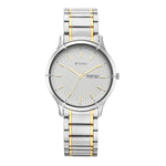 Titan Titan Lagan collection Analog Silver Dial Men's Watch - 1775BM02