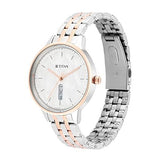 Titan Analog Silver Dial Women's Watch-2648KM01 - Bharat Time Style
