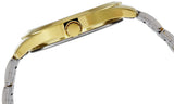 Titan Karishma Analog Silver Dial Men Watch NM1739BM01/NN1739BM01 - Bharat Time Style