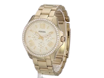 Fossil Dial Analogue Watch for Women (AM4482) - Bharat Time Style