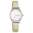 TITAN Lagan Silver Dial Metal Strap Watch 2656BM01 - Bharat Time Style